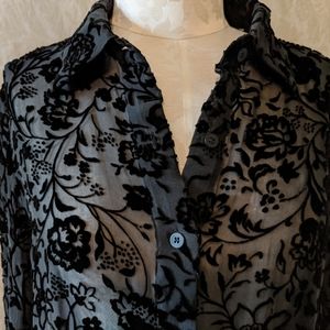 Sheer, Textured w Velvet Detail. Silk/Rayon